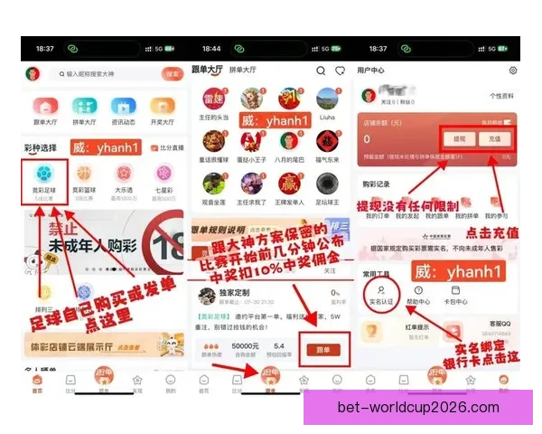 世界杯精彩赛事全攻略尽享实时比分与精准体育竞猜体验